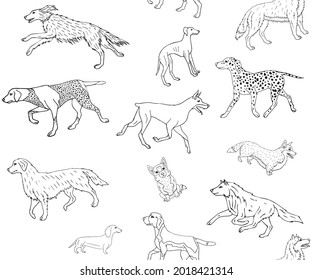 Vector seamless pattern of hand drawn doodle sketch different dog breed isolated on white background