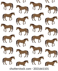 Vector seamless pattern of hand drawn doodle sketch colored horse isolated on white background