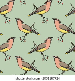 Vector seamless pattern with hand drawn cute Waxwing sitting on a tree branch. Ink drawing, graphic style. Beautiful animal design elements, perfect for prints and patterns