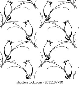 Vector seamless pattern with hand drawn cute Waxwing sitting on a tree branch. Ink drawing, graphic style. Beautiful animal design elements, perfect for prints and patterns