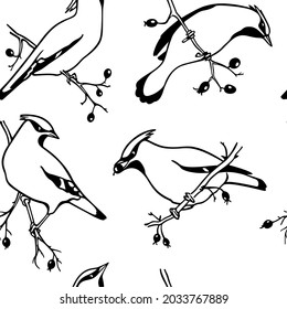 Vector seamless pattern with hand drawn cute Waxwings sitting on tree branches with berries. Ink drawing, graphic style. Beautiful animal design elements, perfect for prints and patterns