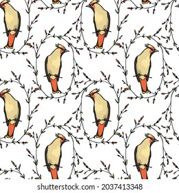 Vector seamless pattern with hand drawn cute Waxwing in graceful floral wreath. Ink drawing, graphic style. Beautiful animal design elements, perfect for prints and patterns