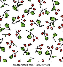 Vector seamless pattern with hand drawn hawthorn twigs. Ink drawing, graphic style, beautiful design element. Perfect for prints and patterns