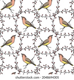 Vector seamless pattern with hand drawn cute Waxwing in graceful floral wreath. Ink drawing, graphic style. Beautiful animal design elements, perfect for prints and patterns