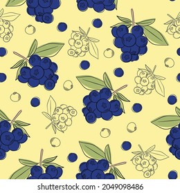 Vector seamless pattern with hand drawn blueberry twigs. Beautiful food and nature design elements, perfect for prints and patterns
