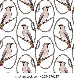 Vector seamless pattern with hand drawn cute Waxwings in nautical rope frames. Ink drawing, graphic style. Beautiful animal design elements, perfect for prints and patterns