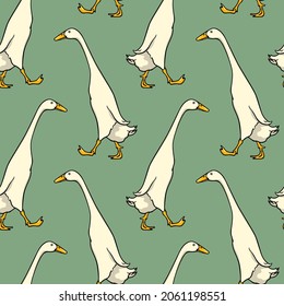 Vector seamless pattern with hand drawn cute walking Indian Runner ducks. Ink drawing, beautiful farm products design elements. Perfect for prints and patterns svg