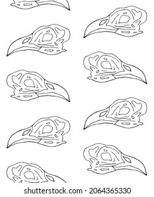 Vector seamless pattern of hand drawn doodle sketch bird skull isolated on white background