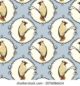 Vector seamless pattern with hand drawn cute Waxwing in graceful vintage frame. Ink drawing, beautiful animal design elements. Perfect for prints and patterns