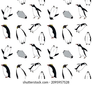 Vector seamless pattern of hand drawn doodle sketch colored penguins isolated on white background