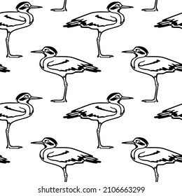 Vector seamless pattern with hand drawn cute Great Thick knee made in cartoon style. Ink drawing, fast sketch. Beautiful animal design elements, perfect for prints and patterns