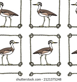 Vector seamless pattern with hand drawn cute Great Thick knee in nautical rope frame made in cartoon style. Ink drawing, beautiful animal design elements. Perfect for prints and patterns