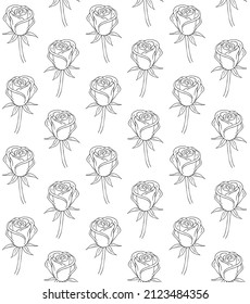 Vector seamless pattern of hand drawn doodle sketch rose flower isolated on white background
