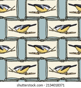 Vector seamless pattern with hand drawn cute Nuthatch in vintage rope frame. Ink drawing, beautiful animal design elements. Perfect for prints and patterns