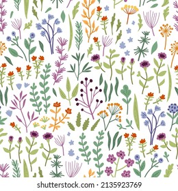 Vector seamless pattern with hand drawn wild plants, herbs and flowers, colorful botanical illustration, floral elements, hand drawn repeating background. Wild meadow herbs, flowering flowers