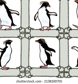 Vector seamless pattern with hand drawn cute Macaroni penguins in nautical rope frames. Ink drawing, funny illustration, beautiful animal design elements. Perfect for prints and patterns