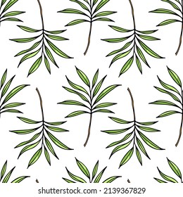 Vector seamless pattern with hand drawn graceful tropical leaves.  Beautiful ink drawing. Perfect for floral prints and patterns