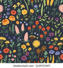 Vector seamless pattern with hand drawn wild plants, herbs and flowers, colorful botanical illustration, floral elements, hand drawn repeating background. Wild meadow herbs, flowering flowers