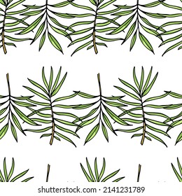 Vector seamless pattern with hand drawn graceful tropical leaves.  Beautiful ink drawing. Perfect for floral prints and patterns