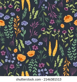 Vector seamless pattern with hand drawn wild plants, herbs and flowers, colorful botanical illustration, floral elements, hand drawn repeating background. Wild meadow herbs, flowering flowers