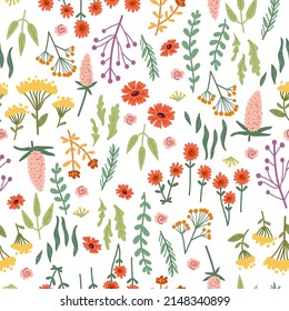 Vector seamless pattern with hand drawn wild plants, herbs and flowers, colorful botanical illustration, floral elements, hand drawn repeating background. Wild meadow herbs, flowering flowers