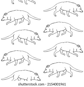 Vector seamless pattern of hand drawn doodle sketch opossum isolated on white background