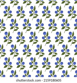 Vector seamless pattern with hand drawn blueberry. Perfect for textile and wrapping paper design. Cute tile for wallpaper or package