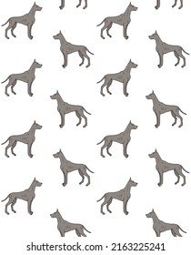 Vector seamless pattern of hand drawn doodle sketch colored great dane dog isolated on white background