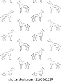 Vector seamless pattern of hand drawn doodle sketch great dane dog isolated on white background