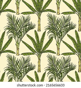 Vector seamless pattern with hand drawn graceful palms. Ink drawing, vintage botanical illustration. Perfect for prints and patterns