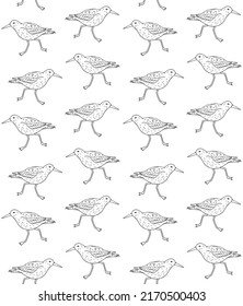 Vector seamless pattern of hand drawn doodle sketch sandpiper bird isolated on white background