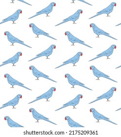 Vector seamless pattern of hand drawn doodle sketch blue Indian ringneck parrot isolated on white background