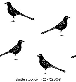 Vector seamless pattern of hand drawn doodle sketch black magpie bird isolated on white background