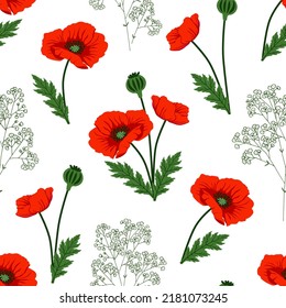 Vector seamless pattern, hand drawn red poppy and gypsophila flowers and leaves on white background.