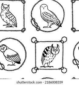 Vector seamless pattern with hand drawn funny owls in nautical rope frames. Ink drawing, decorative graphic style. Beautiful animal design elements, perfect for prints and patterns