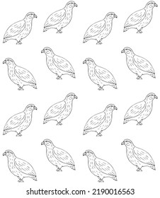 Vector seamless pattern of hand drawn doodle sketch partridge bird isolated on white background