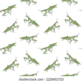 Vector seamless pattern of hand drawn doodle sketch colored mantis isolated on white background