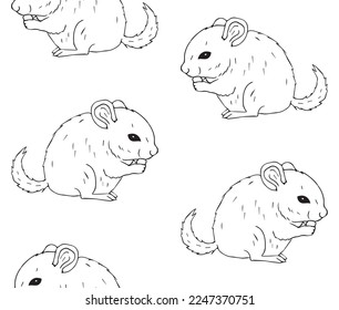Vector seamless pattern of hand drawn doodle sketch chinchilla isolated on white background