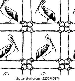 Vector seamless pattern with hand drawn graceful pelicans in nautical rope frames. Ink drawing, decorative graphic style. Beautiful animal design elements, perfect for prints and patterns