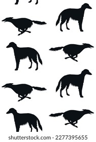 Vector seamless pattern of hand drawn Russian borzoi dog silhouette isolated on white background