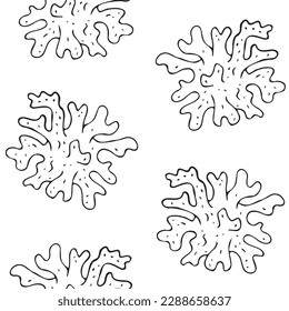 Vector seamless pattern of hand drawn doodle sketch coral isolated on white background