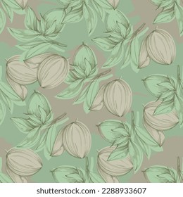 Vector seamless pattern with hand drawn jojoba branches and leaves on background. Elegant design for print, fabric, wallpaper, card, invitation, cosmetic products package