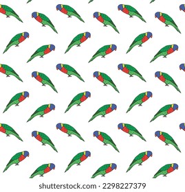 Vector seamless pattern of hand drawn doodle sketch colored lory parrot isolated on white background