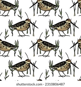 Vector seamless pattern with hand drawn sweet snipes in the grass. Ink drawing, decorative graphic style. Beautiful animal design elements, perfect for prints and patterns