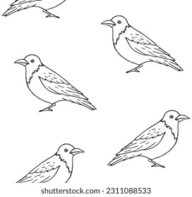 Vector seamless pattern of hand drawn doodle sketch crow isolated on white background