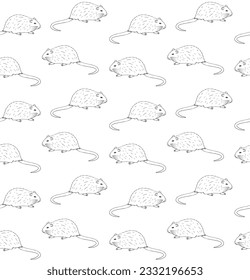 Vector seamless pattern of hand drawn doodle sketch nutria isolated on white background