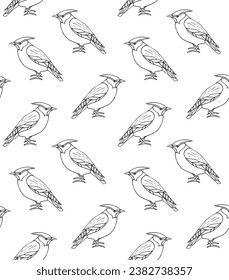 Vector seamless pattern of hand drawn doodle sketch waxwing bird isolated on white background