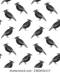 Vector seamless pattern of hand drawn doodle sketch black waxwing bird isolated on white background