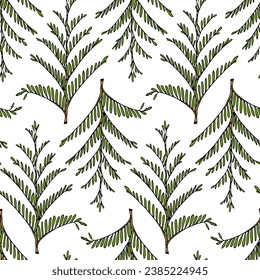 Vector seamless pattern with hand drawn cypress branches. Beautiful design elements, ink drawing. Perfect for prints and patterns for Christmas or New Year holidays season.