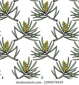 Vector seamless pattern with hand drawn pine twigs with spring cones. Beautiful design elements, ink drawing. Perfect for prints and patterns for Christmas or New Year holidays season.